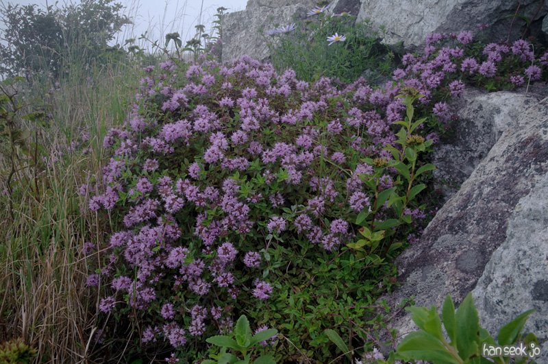 DSC_3458.jpg
