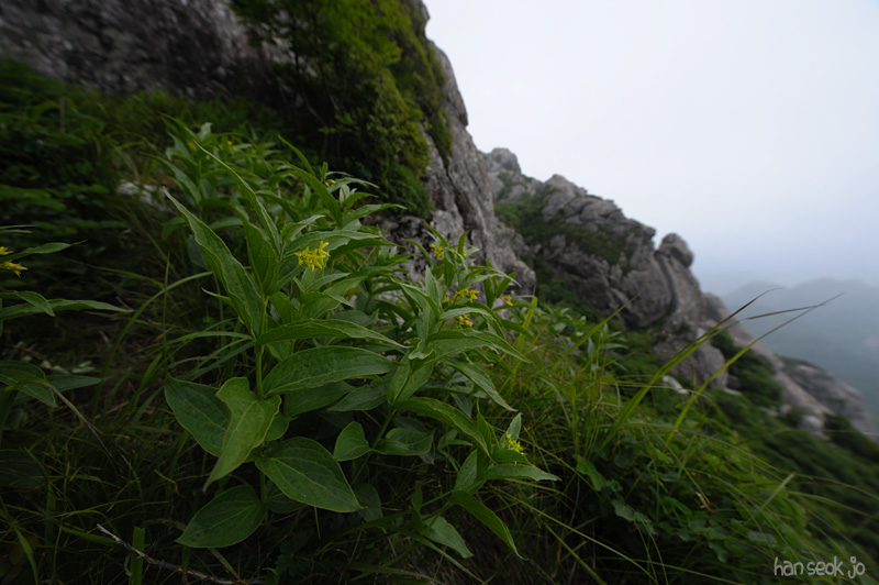 HSJ_4083.jpg