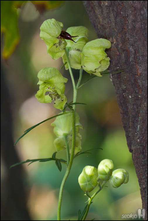 DSCF3914.jpg