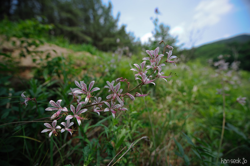 HSJ_3140.jpg