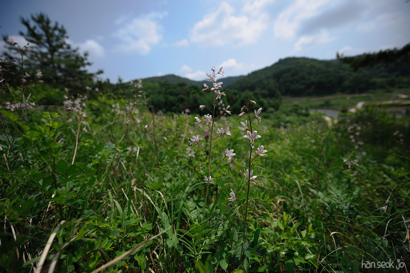 HSJ_3141.jpg