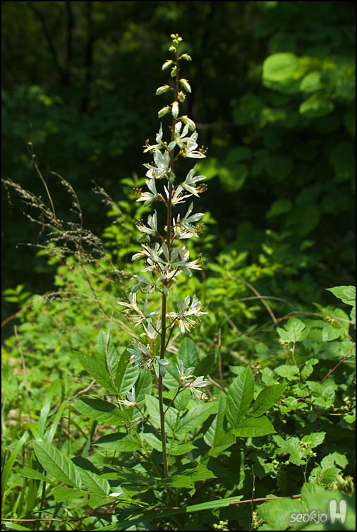 DSCF1219.jpg