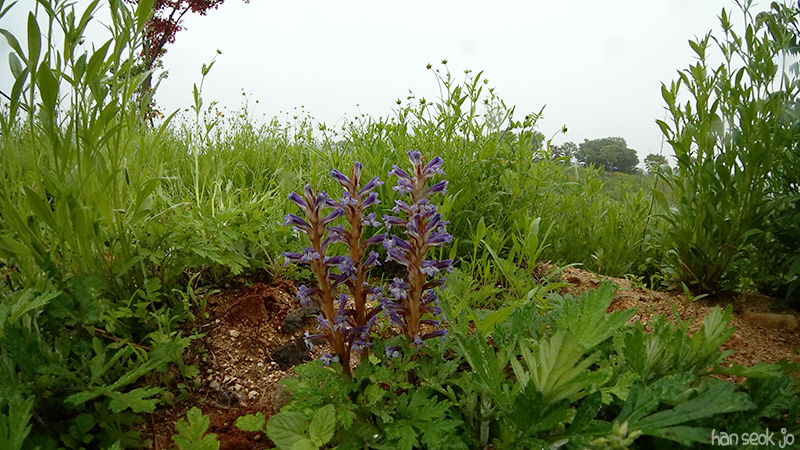 SAM_102_0207.jpg