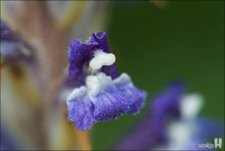 DSCF8450.jpg