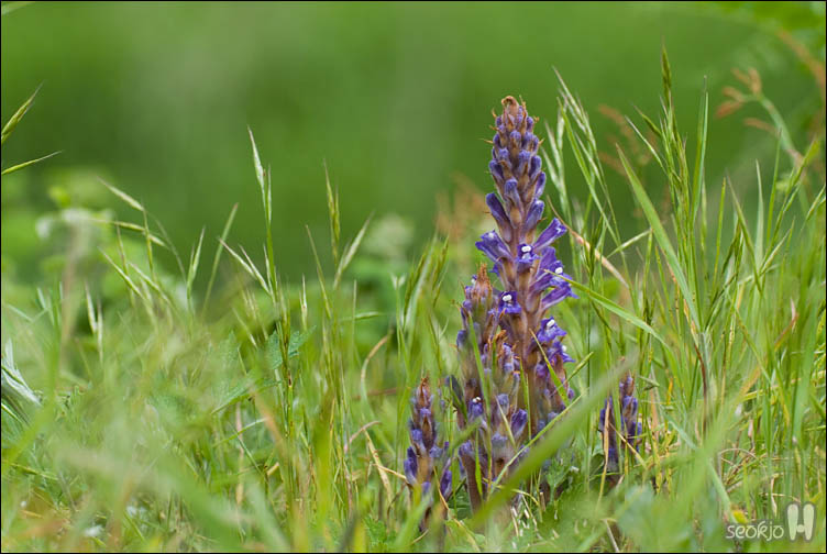 DSCF8409.jpg