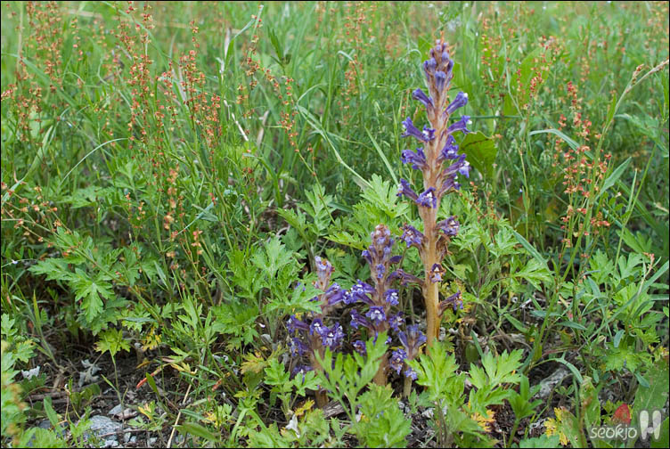 DSCF8433.jpg