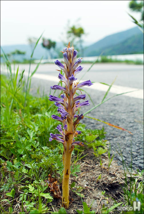 DSCF8390.jpg