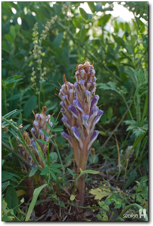 DSCF8308.jpg