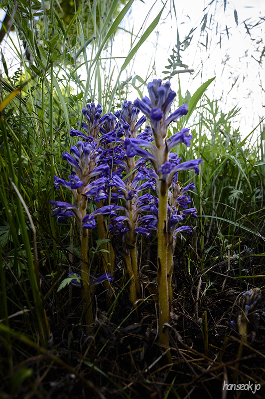 DSC_2671.jpg