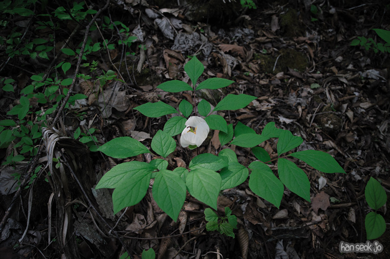 HSJ_3553.jpg