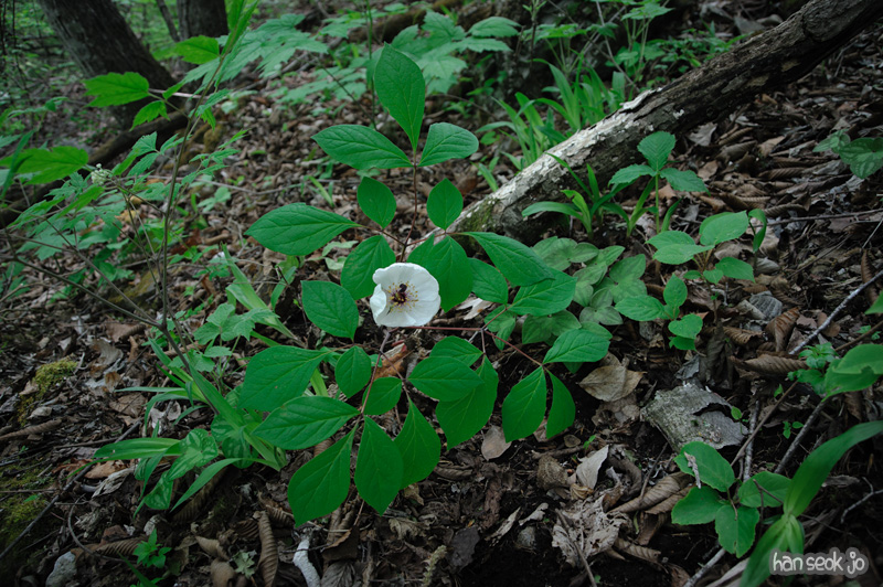 HSJ_3559.jpg