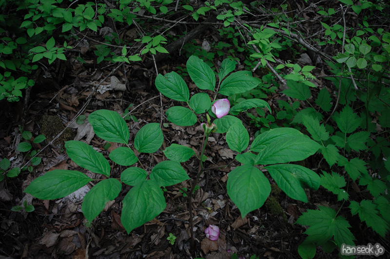 HSJ_3554.jpg