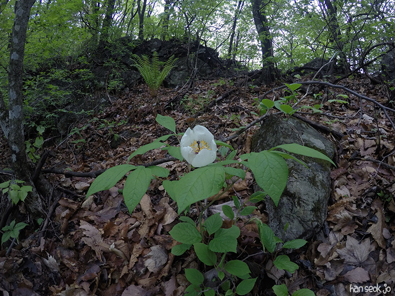 GOPR3362.jpg