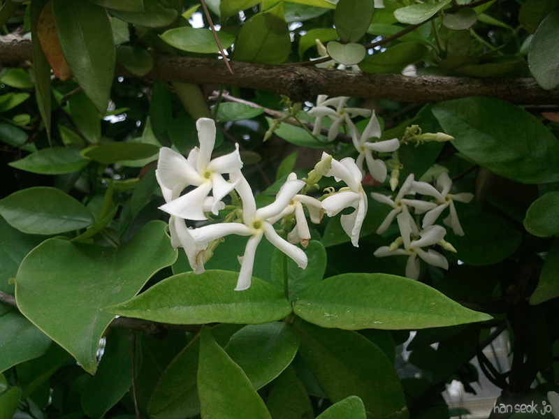 2011-06.jpg