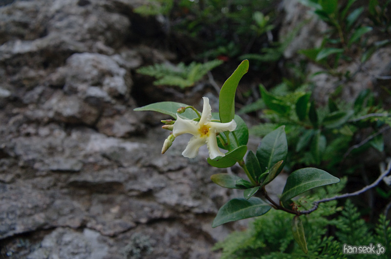 DSC_6610.jpg