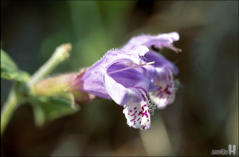 070501f.jpg