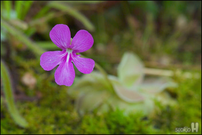 DSCF2563.jpg
