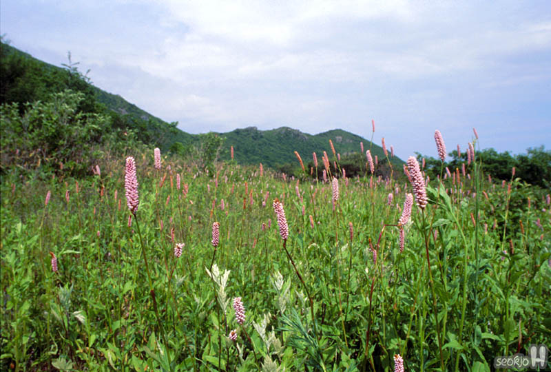 070626c.jpg
