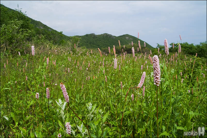 DSCF4216.jpg
