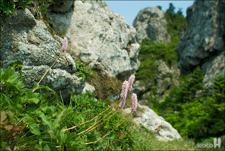 DSCF9437.jpg