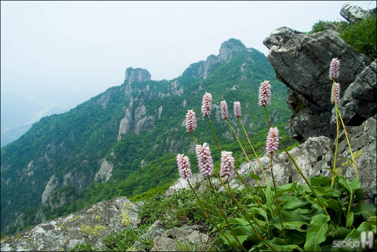 DSCF9490.jpg
