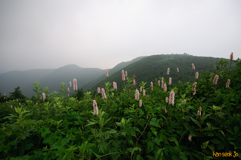 DSC_7292.jpg