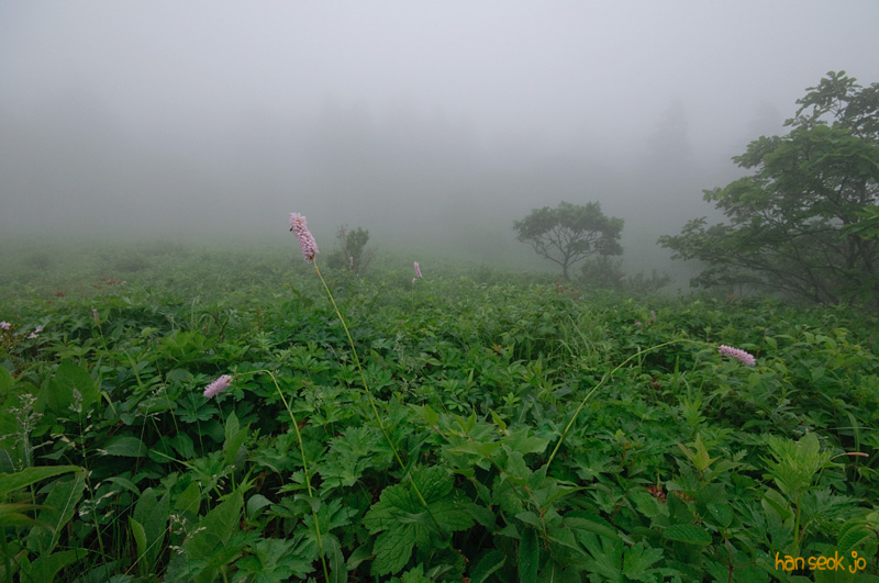 DSC_7094.jpg