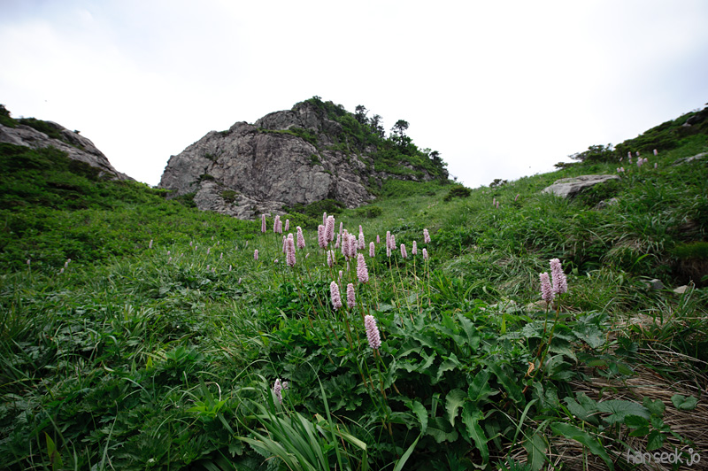 HSJ_9214.jpg