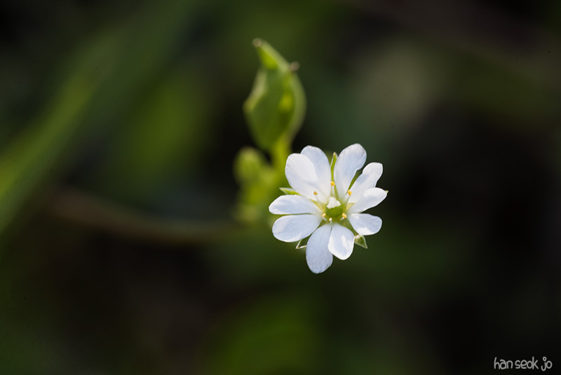 HSJ_5636.jpg