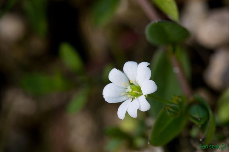 DSC_8276.jpg