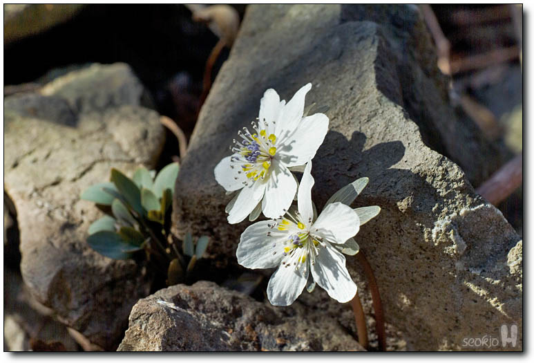 DSCF6073.jpg