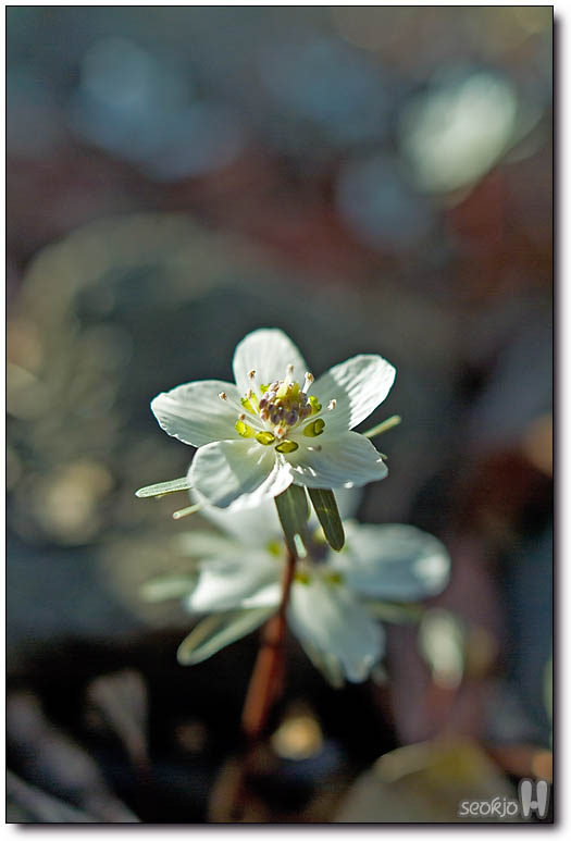 DSCF6116.jpg