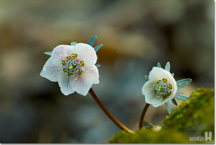 DSCF6267.jpg