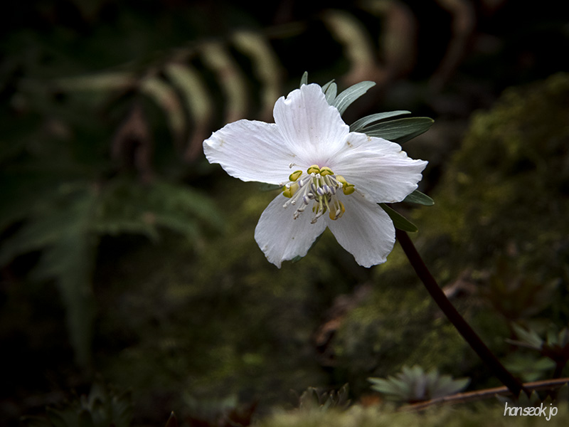 DSCN0048.jpg