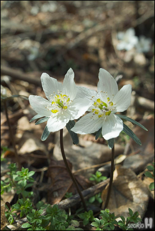 DSCF1861.jpg