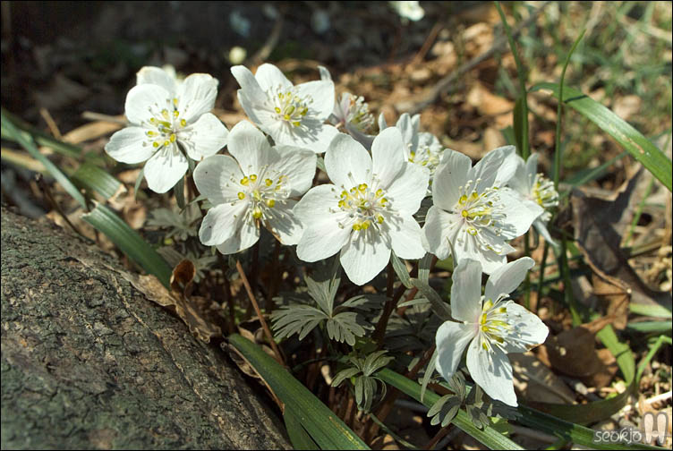 DSCF2103.jpg