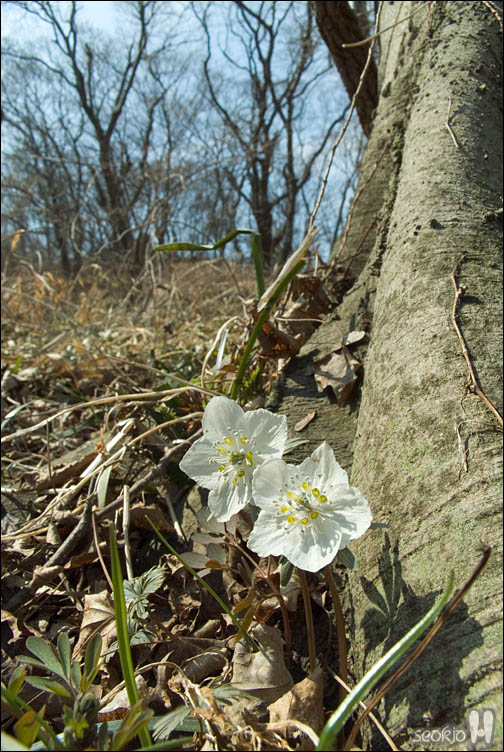 DSCF2118.jpg