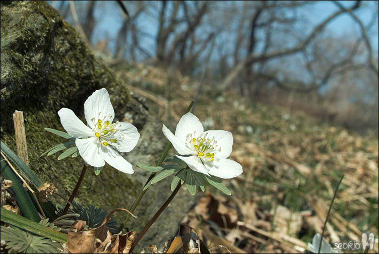 DSCF2122.jpg