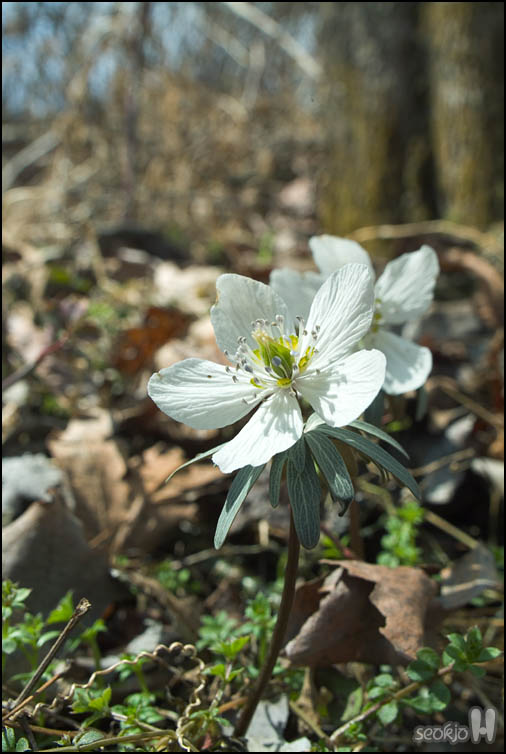 DSCF1860.jpg