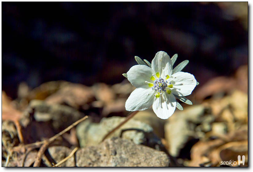 DSCF6915.jpg