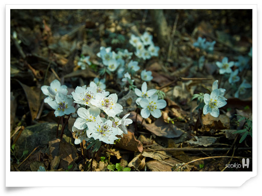 DSCF6958.jpg