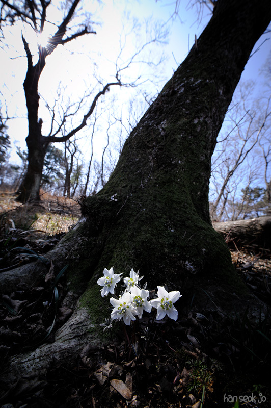 HSJ_2169.jpg