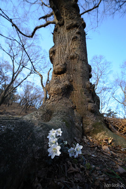 HSJ_2337.jpg
