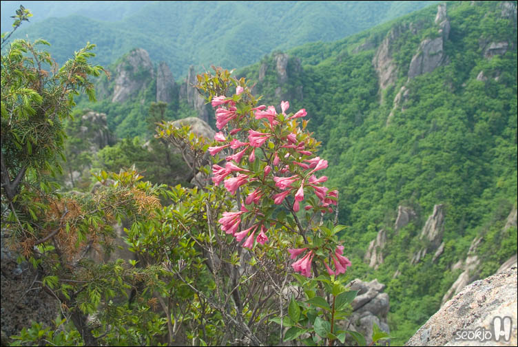 DSCF9203.jpg