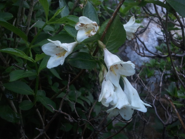 2011-06-18.jpg