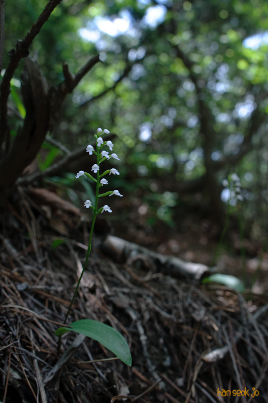 DSC_7544.jpg