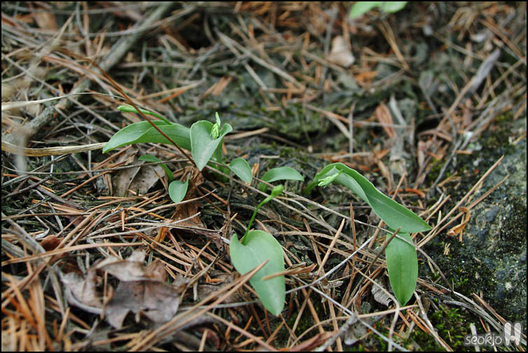 DSCF1549.jpg