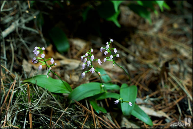 DSCF2305.jpg