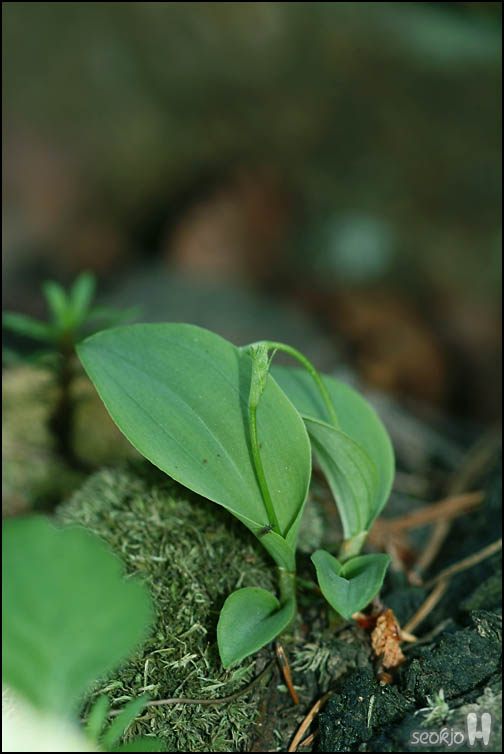 DSCF7014.jpg