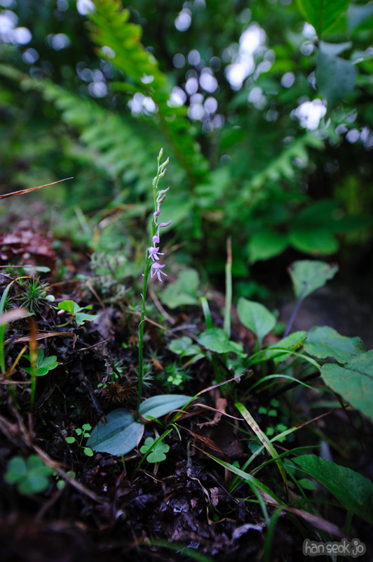 HSJ_0758.jpg